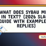 sybau meaning