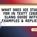 what does ice stand for