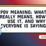 pov meaning