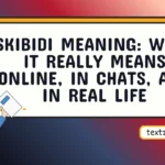 skibidi meaning