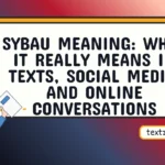 sybau meaning