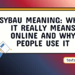 sybau meaning