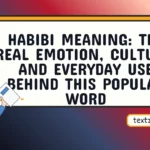 habibi meaning