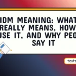 idm meaning