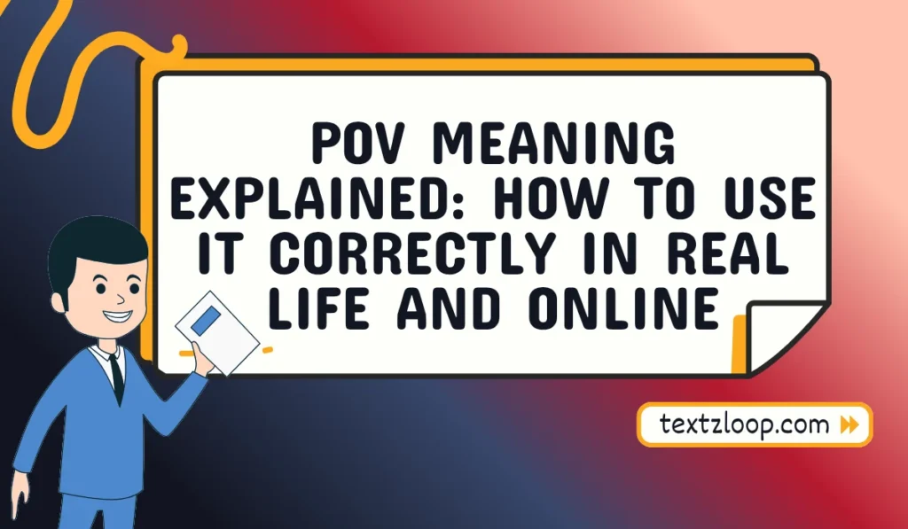 pov meaning