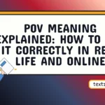 pov meaning