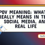 pov meaning