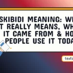 skibidi meaning