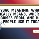 sybau meaning