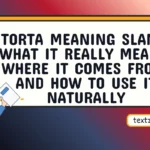 torta meaning slang