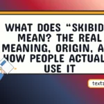 what does skibidi mean