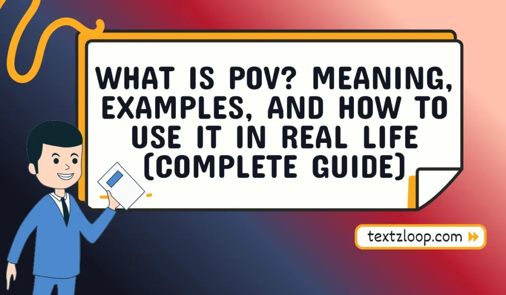 what is pov