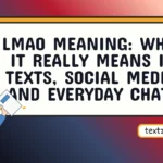 lmao meaning