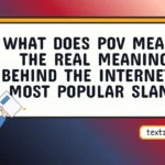 what does pov mean