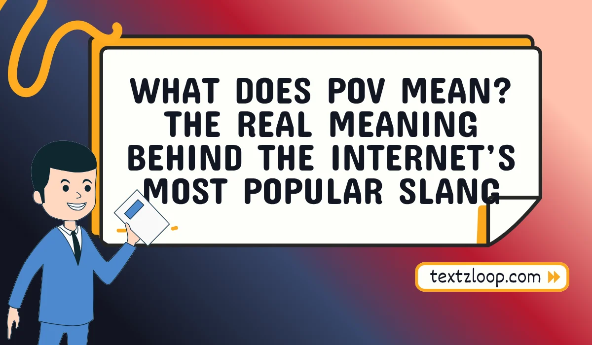 what does pov mean