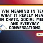 y/n meaning