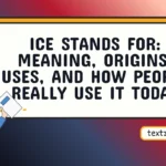 ice stands for
