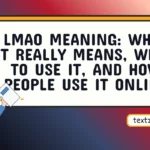 lmao meaning