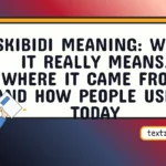 skibidi meaning
