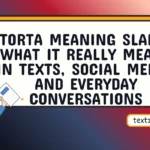 torta meaning slang