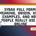 sybau full form