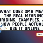 what does smh mean